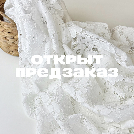 картинка Кружево белое (теплый подтон) от интернет магазина